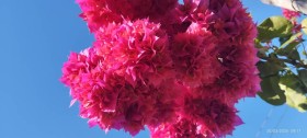 IMG 20250323 WA0015